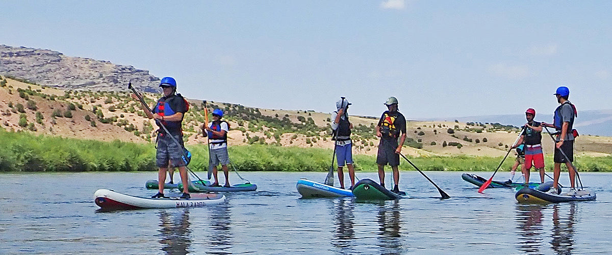 How to Choose Your SUP Paddle