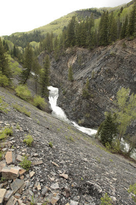 Yule Creek: Always Some Carnage