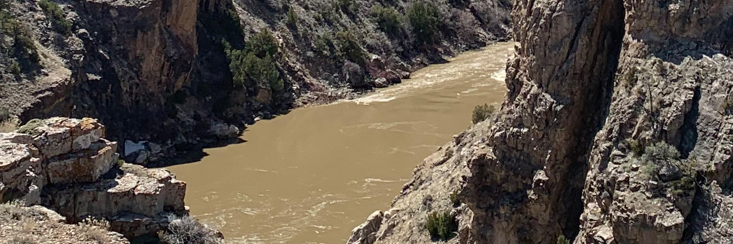 Best Class IV Kayaking in Colorado