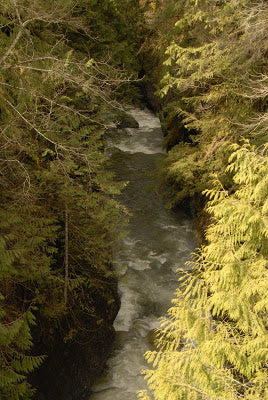 2011 Spring Kayaking Extravaganza – Day 1