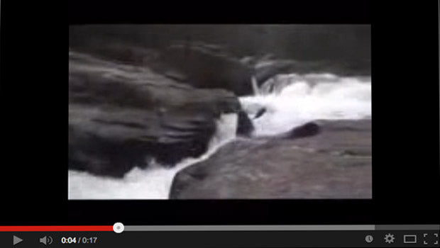 CLASS V NOTCH SPLAT ON GORILLA - GREEN RIVER NARROWS