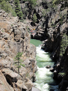 More Beyond Rockwood