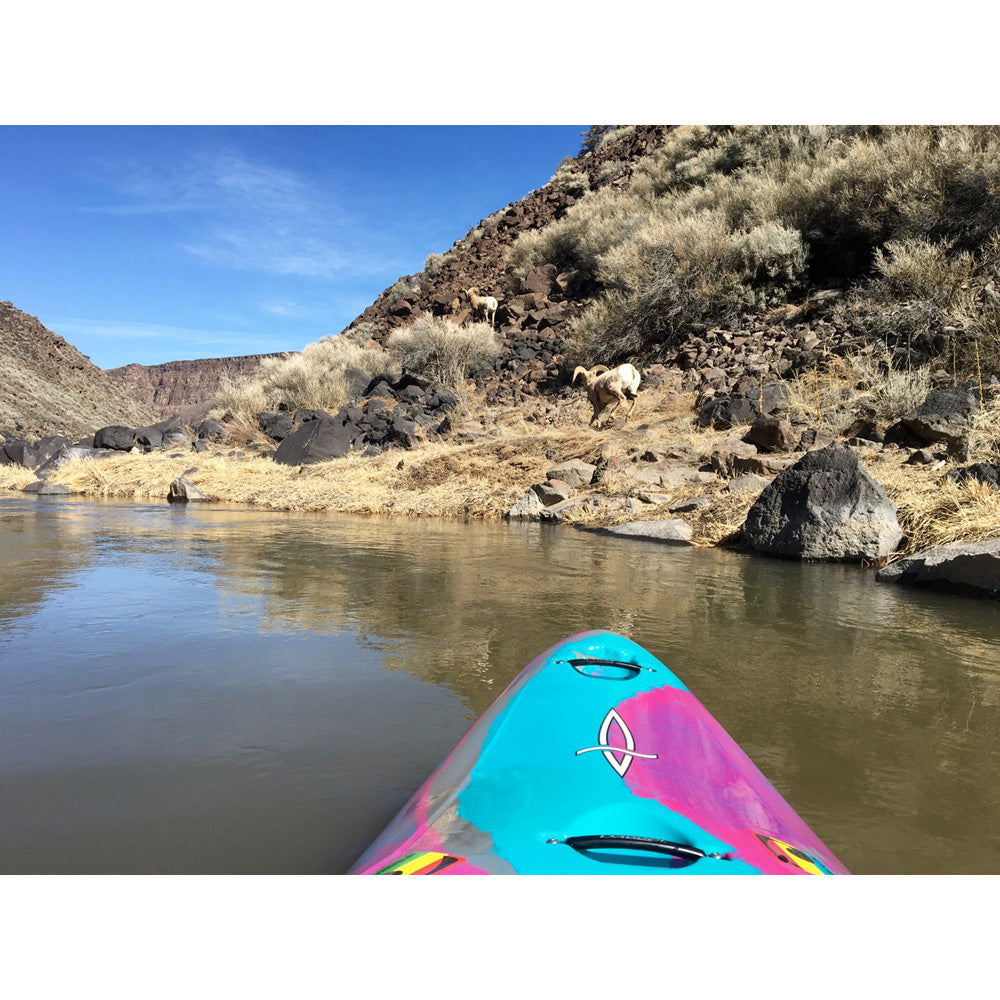 Only in Dreams Part 1: Creeking