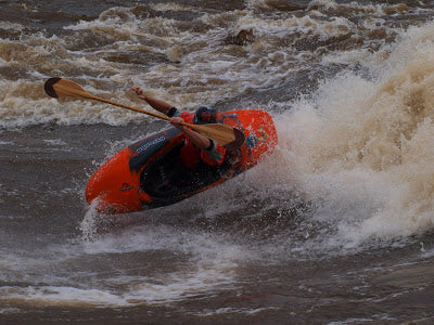 Fun Times in NY State