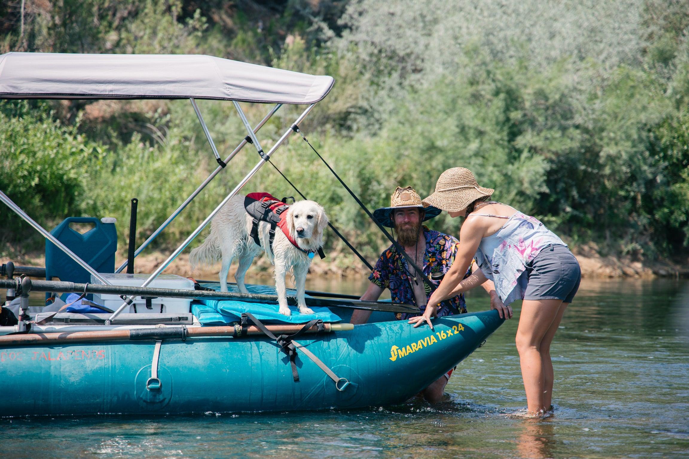 Dog Gear - CKS Online