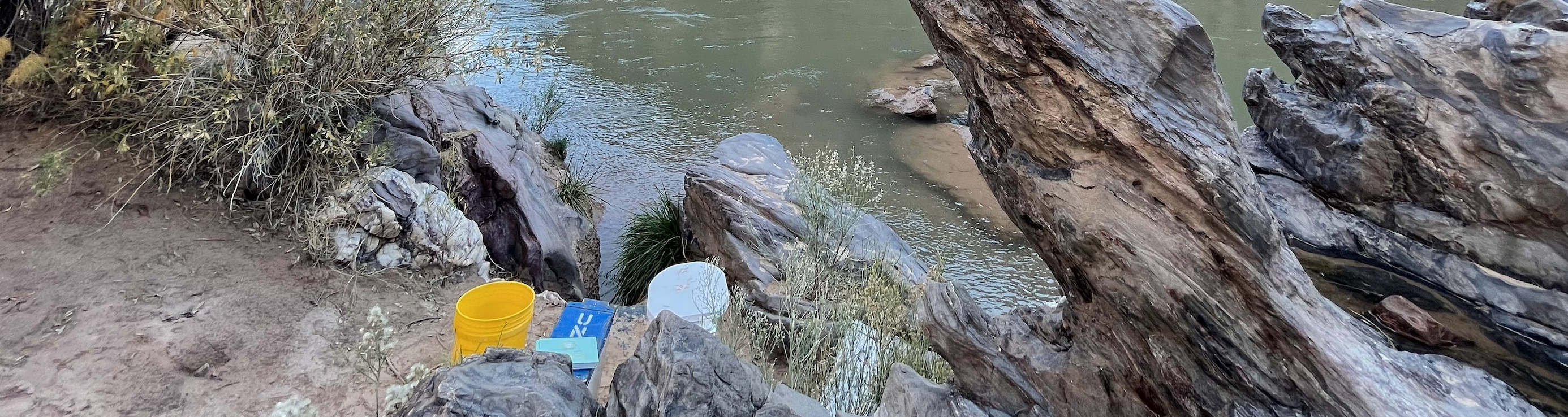 Waste Management + Hygiene