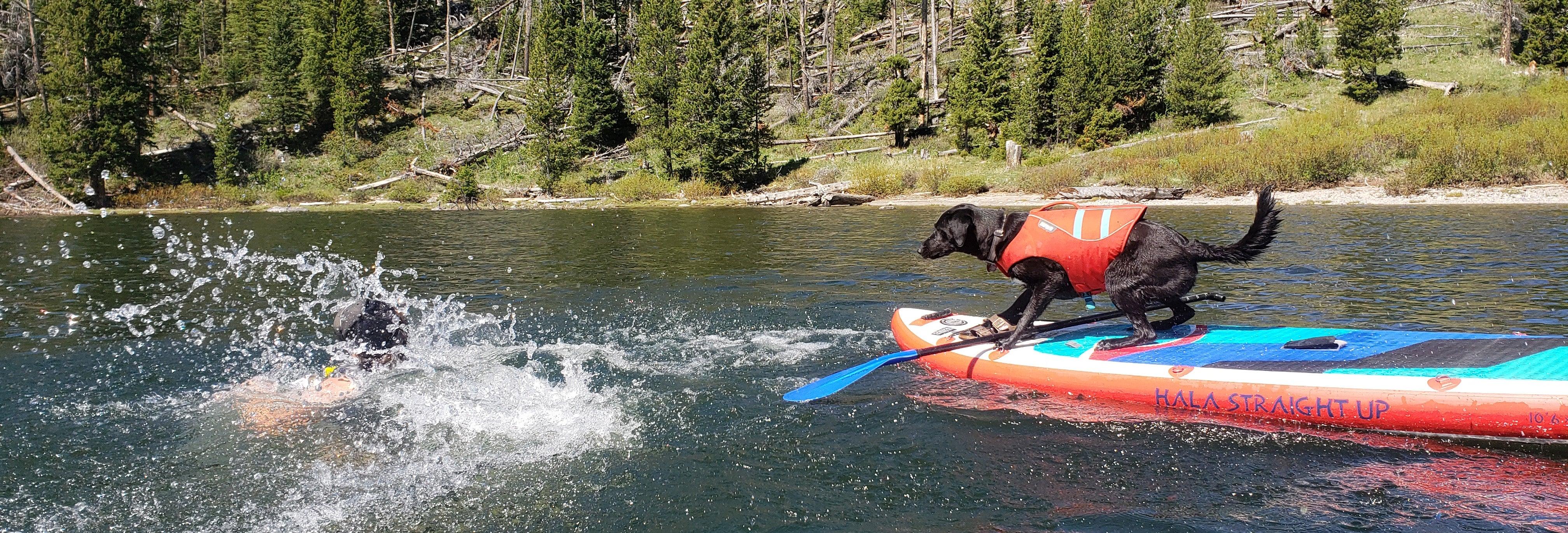 All-Water SUPs - CKS Online