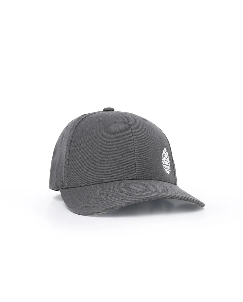 Stio Whitebark Pinecone Cap