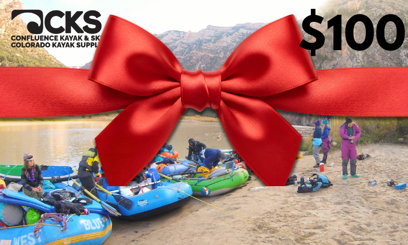 Electronic Gift Card $100