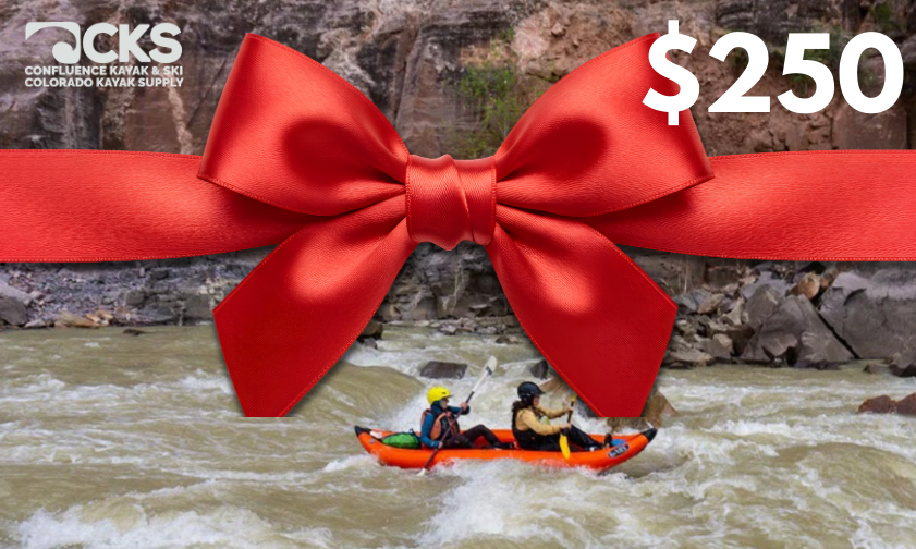 Electronic Gift Card $250