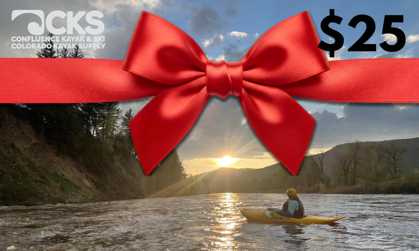 Electronic Gift Card $25