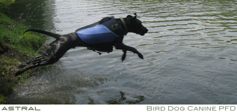The Astral Bird Dog Canine PFD Review
