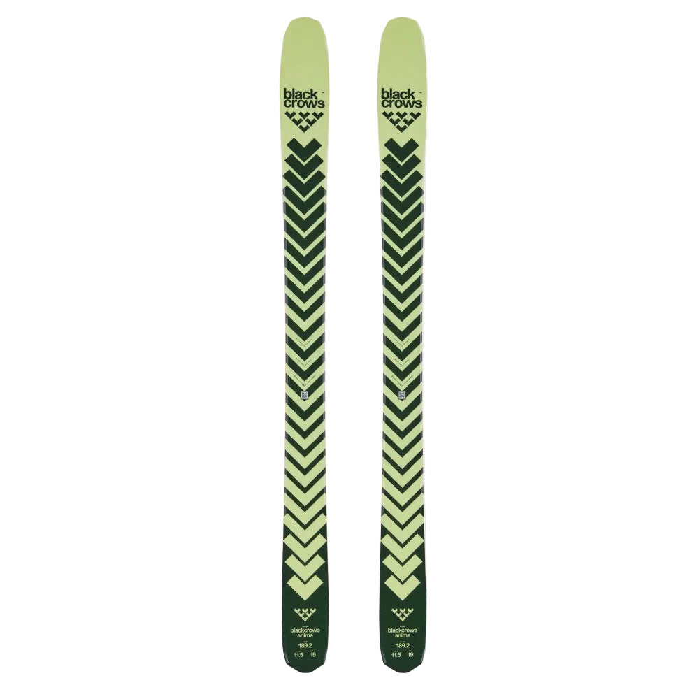 Two green skis with black patterns on a white background