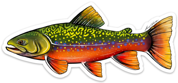 River Collective Trout Decal