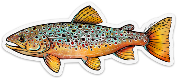 River Collective Trout Decal