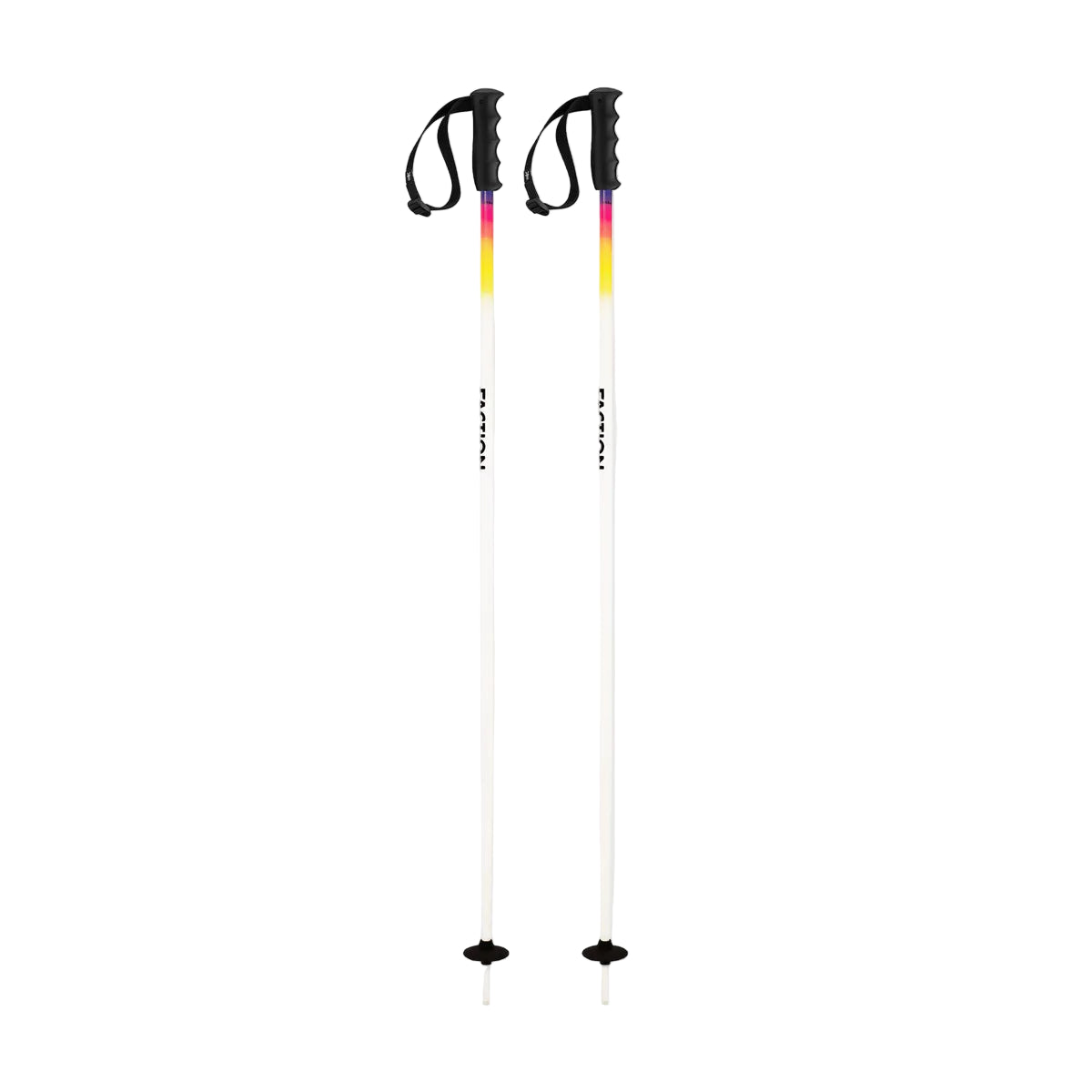 a pair of ski poles