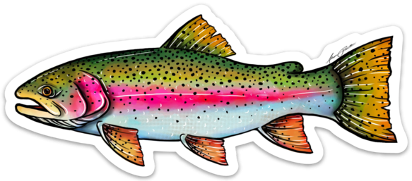 River Collective Trout Decal