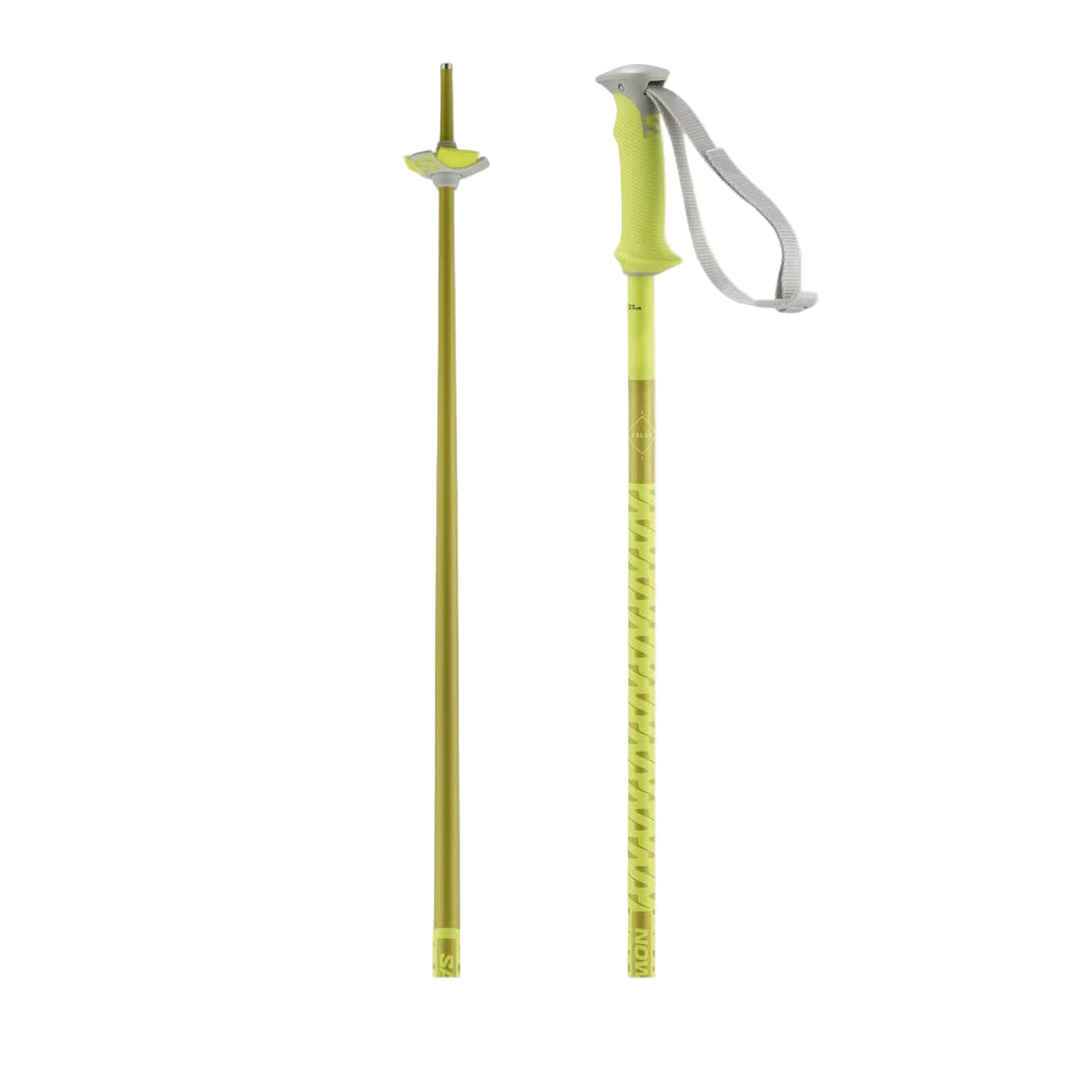 Salomon Polar Ski Poles