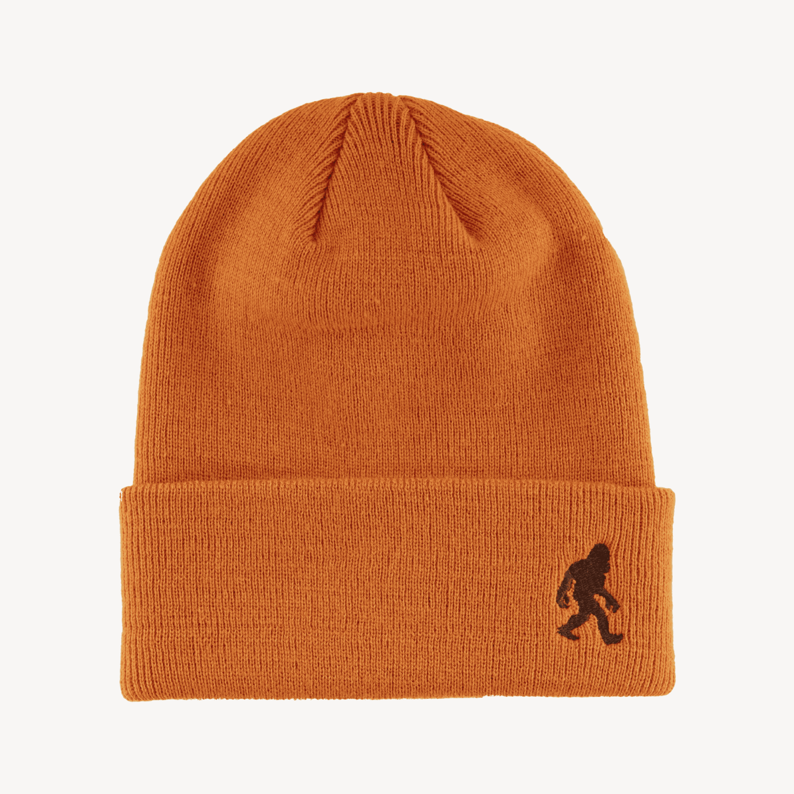 Spacecraft Legendary Cuff Beanie